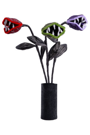 Месоядно растение, Куку МагЪзин