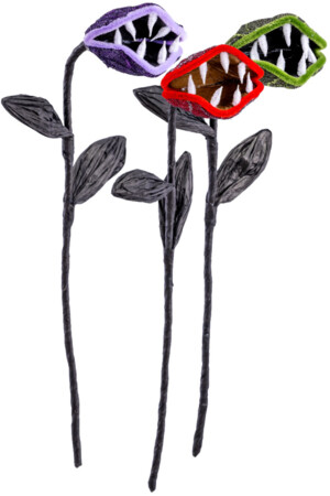 Месоядно растение, Куку МагЪзин