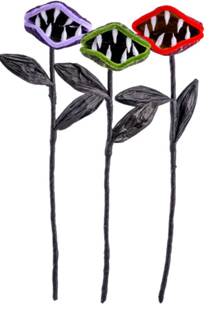 Месоядно растение, Куку МагЪзин