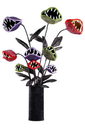 Месоядно растение, Куку МагЪзин