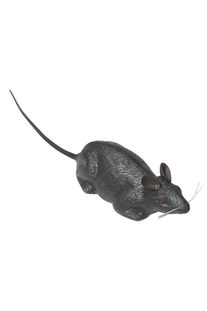 Плъх пластмасов #Rf70357