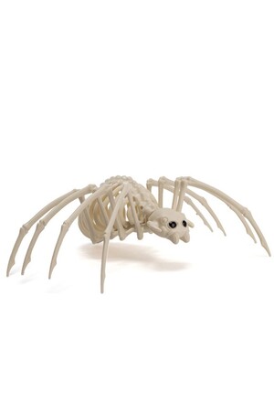 Скелет Паяк, Куку МагЪзин