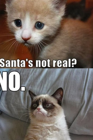 ... Няма Дядо Мраз? - Не. (...Santa is not real? No.)