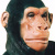 Маска Queen Kong "Greyland film" #GFM205